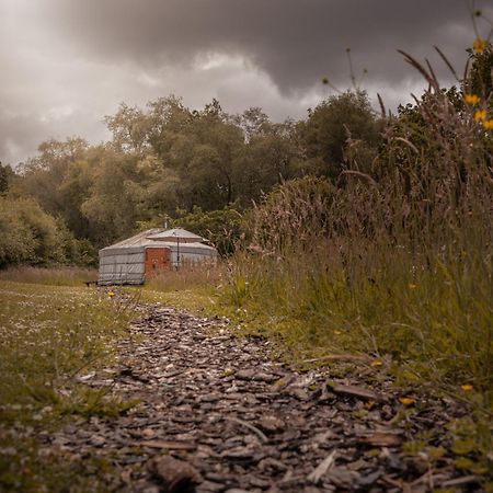 Gilfach Gower Farm Luxury Yurt With Hot Tub Hotel Ammanford Exterior foto